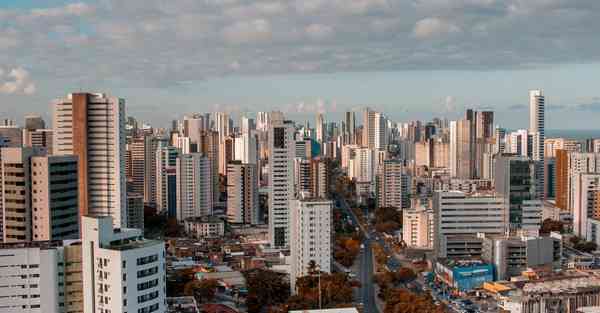佛跳墙客户端